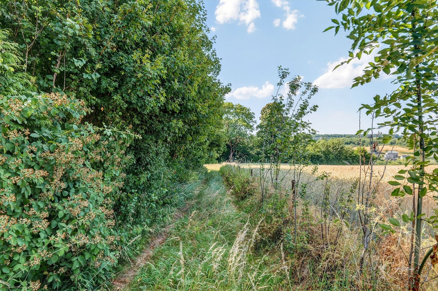 Terrain de 4400m2 libre de constructeur - photo 7