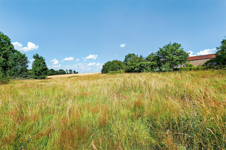 Terrain de 4400m2 libre de constructeur - photo 1