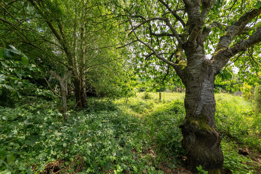 Terrain à bâtir - photo 6