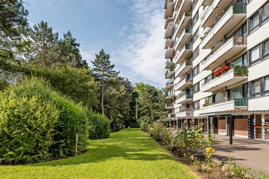 Appartement - photo 12