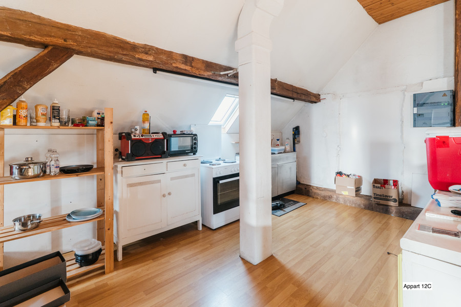 Ensemble immobilier : 1 gîte, 4 apparts, garages, piscine - photo 27