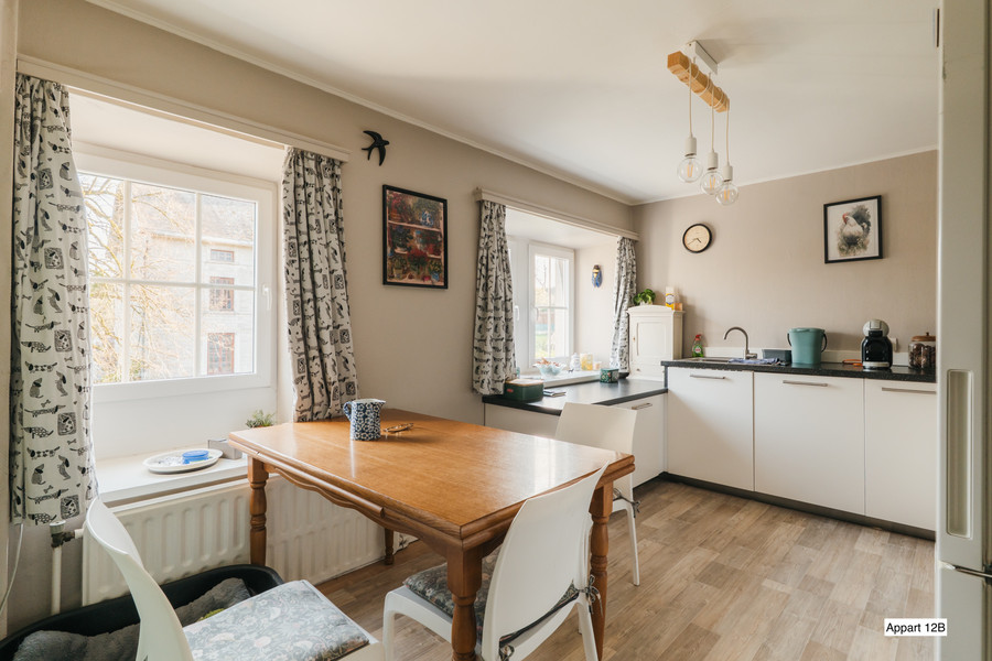 Ensemble immobilier : 1 gîte, 4 apparts, garages, piscine - photo 22