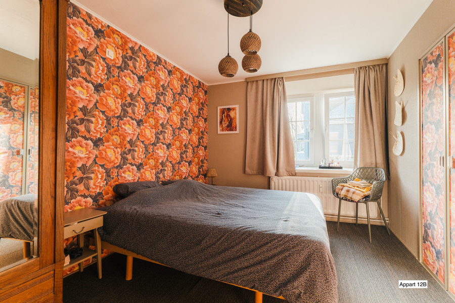 Ensemble immobilier : 1 gîte, 4 apparts, garages, piscine - photo 24