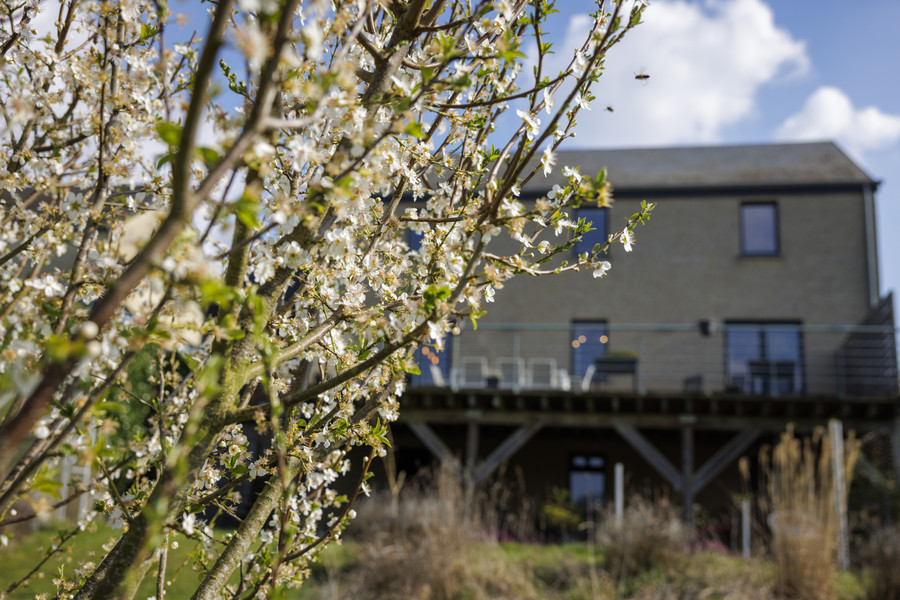 Maison 4CH + 2SDB + jardin - photo 22