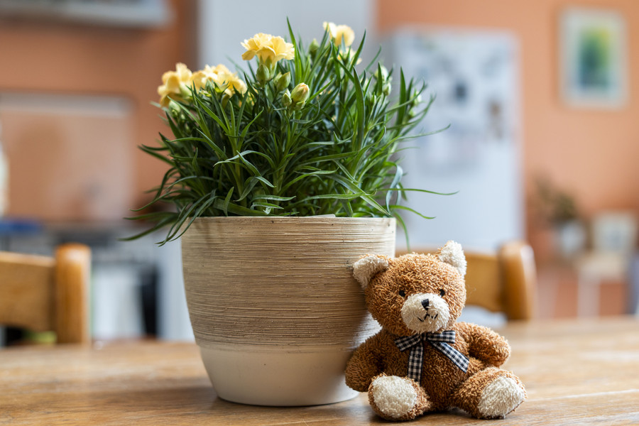 Spacieuse maison de caractère 5ch. + jardin - photo 7